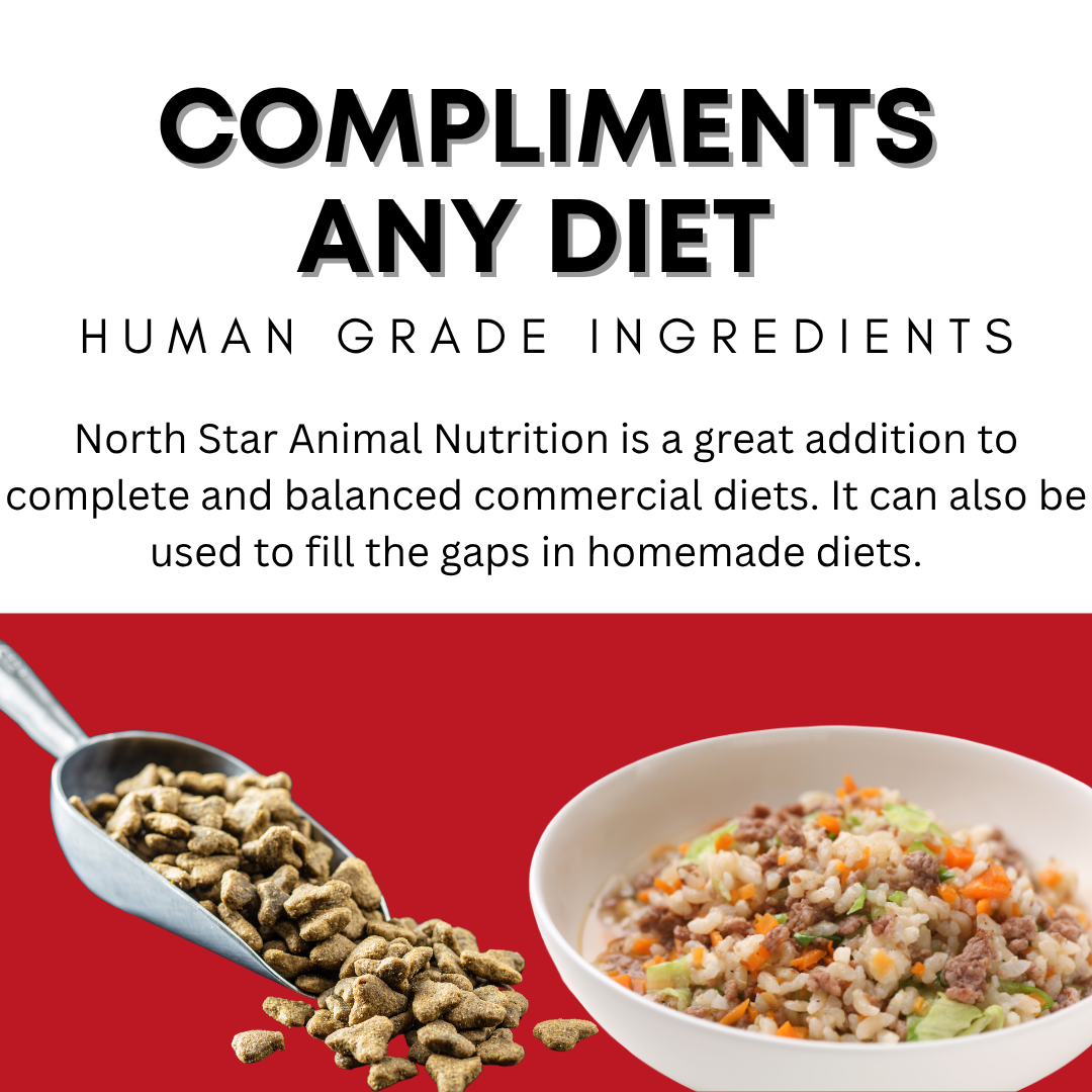 Canine Multivitamin Supplement