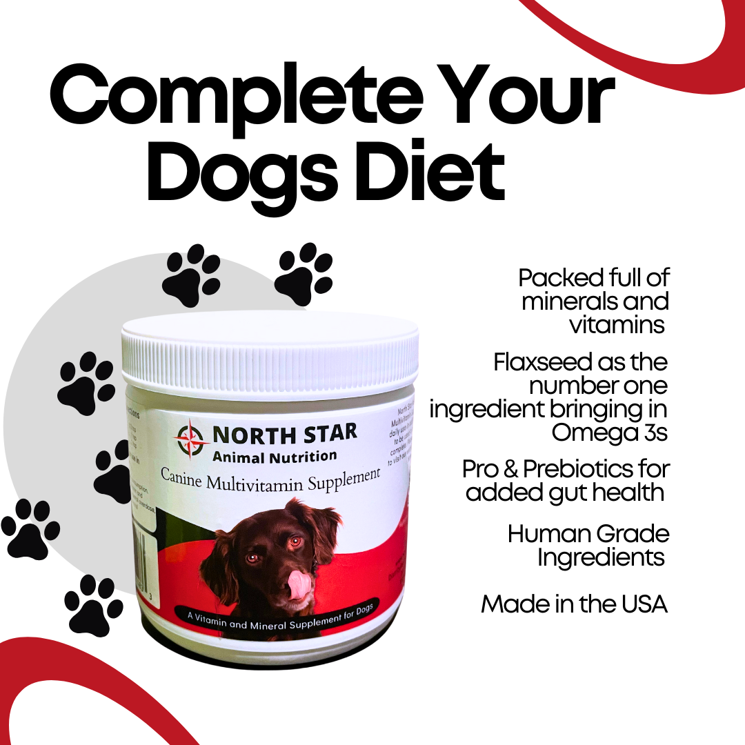 Canine Multivitamin Supplement