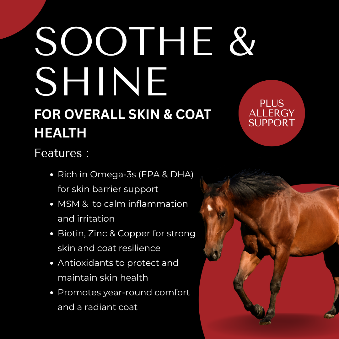 Soothe & Shine Equine Supplement