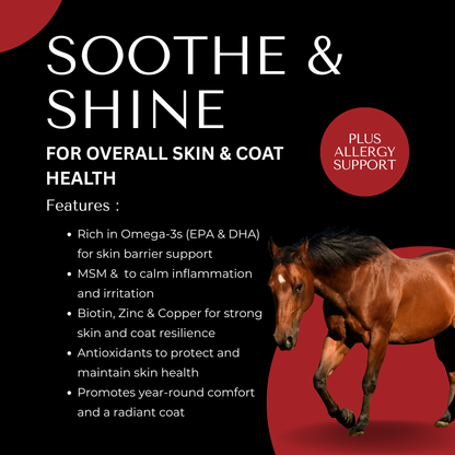 Soothe & Shine Equine Supplement