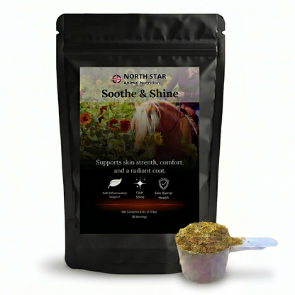 Soothe & Shine Equine Supplement
